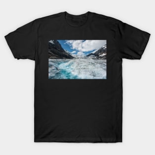 The Rapids of a Melting Glacier T-Shirt